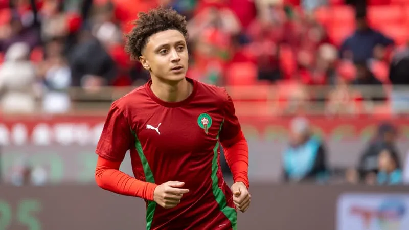 pp电子-点赞塞内加尔球员庆祝非洲杯夺冠，多名摩洛哥国脚公开道歉